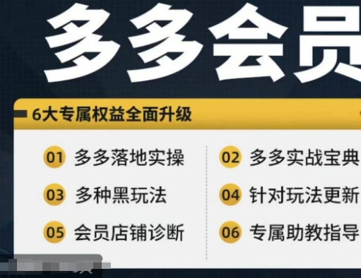 拼多多会员，拼多多实战宝典+实战落地实操，从新手到高阶内容全面覆盖-优优云网创