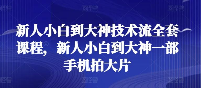 新人小白到大神技术流全套课程，新人小白到大神一部手机拍大片-优优云网创