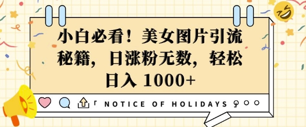 小白必看，美女图片引流秘籍，日涨粉无数，轻松日入几张【揭秘】-优优云网创