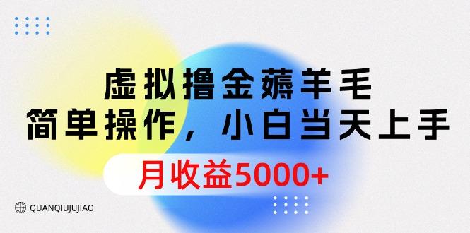 (9864期)虚拟撸金薅羊毛，简单操作，小白当天上手，月收益5000+-优优云网创