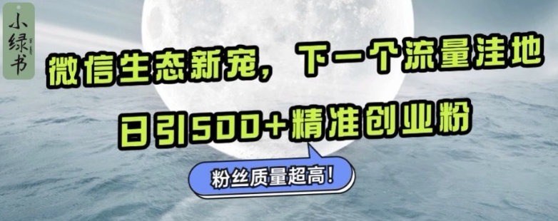 微信生态新宠小绿书：下一个流量洼地，日引500+精准创业粉，粉丝质量超高-优优云网创