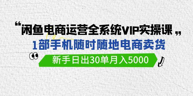 (9547期)闲鱼电商运营全系统VIP实战课，1部手机随时随地卖货，新手日出30单月入5000-优优云网创