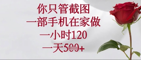 你只管截图，一部手机在家操作，一小时120.一天5张【揭秘】-优优云网创