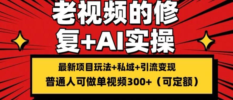 修复老视频的玩法，搬砖+引流的变现(可持久)，单条收益300+【揭秘】-优优云网创