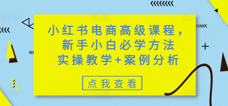 小红书电商高级课程，新手小白必学方法，实操教学+案例分析-优优云网创