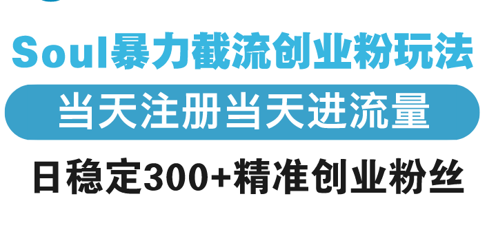 Soul暴力截流创业粉玩法，当天注册当天进流量，日稳定300+精准创业粉丝-优优云网创
