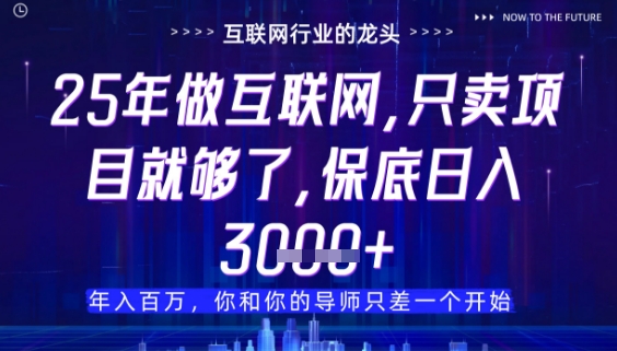 什么！25年你还在找项目做？风口早就变了，卖项目才是稳挣不赔【揭秘】-优优云网创