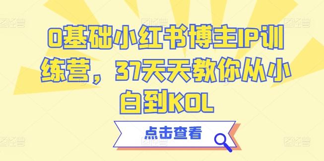 0基础小红书博主IP训练营，37天天教你从小白到KOL-优优云网创