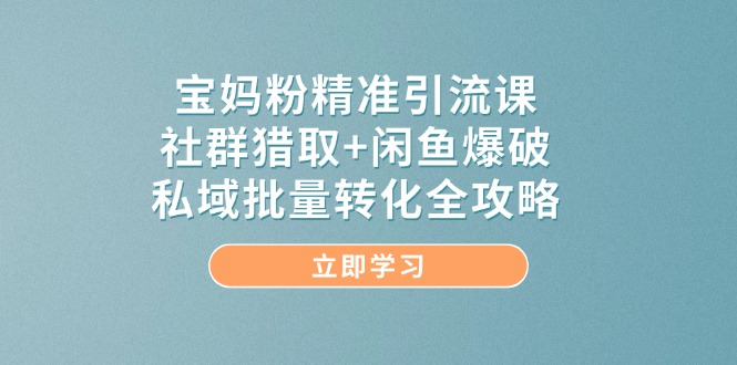 （14820期）宝妈粉精准引流课，社群猎取+闲鱼爆破，私域批量转化全攻略-优优云网创