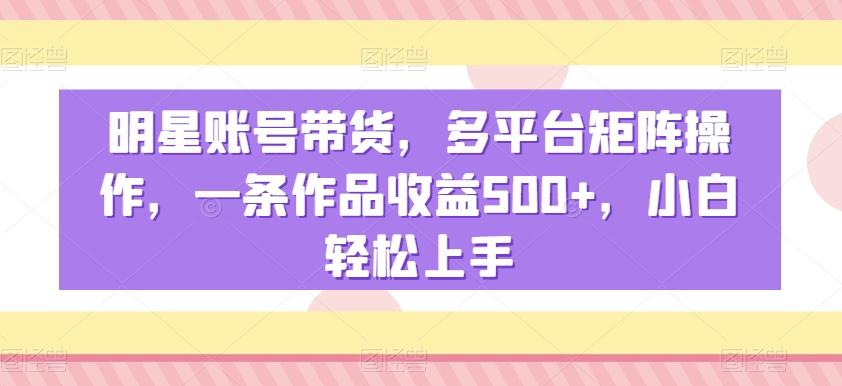 明星账号带货，多平台矩阵操作，一条作品收益500+，小白轻松上手【揭秘】-优优云网创