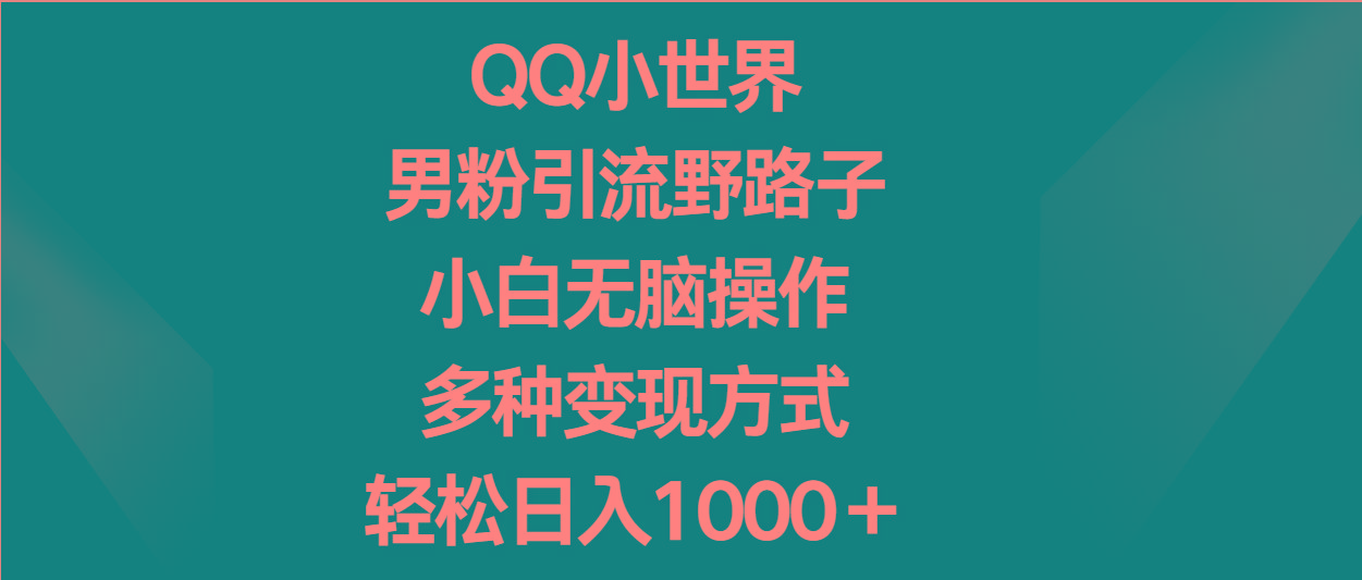 QQ小世界男粉引流野路子，小白无脑操作，多种变现方式轻松日入1000＋-优优云网创