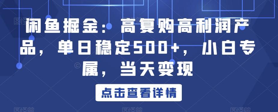 闲鱼掘金：高复购高利润产品，单日稳定500+，小白专属，当天变现-优优云网创