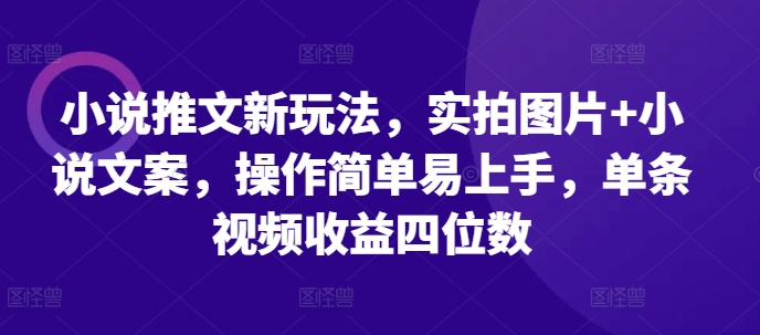 小说推文新玩法，实拍图片+小说文案，操作简单易上手，单条视频收益四位数-优优云网创