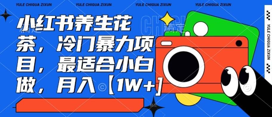 小红书养生花茶，冷门暴力项目，最适合小白做，月入【1W+】-优优云网创