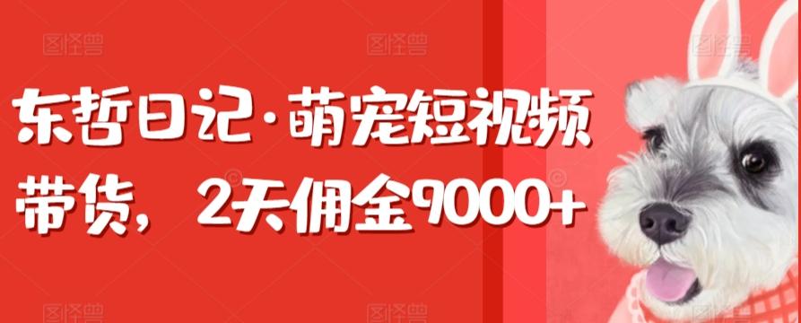 东哲日记·萌宠短视频带货，2天佣金9000+-优优云网创
