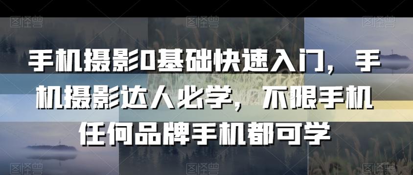 手机摄影0基础快速入门，手机摄影达人必学，不限手机任何品牌手机都可学-优优云网创