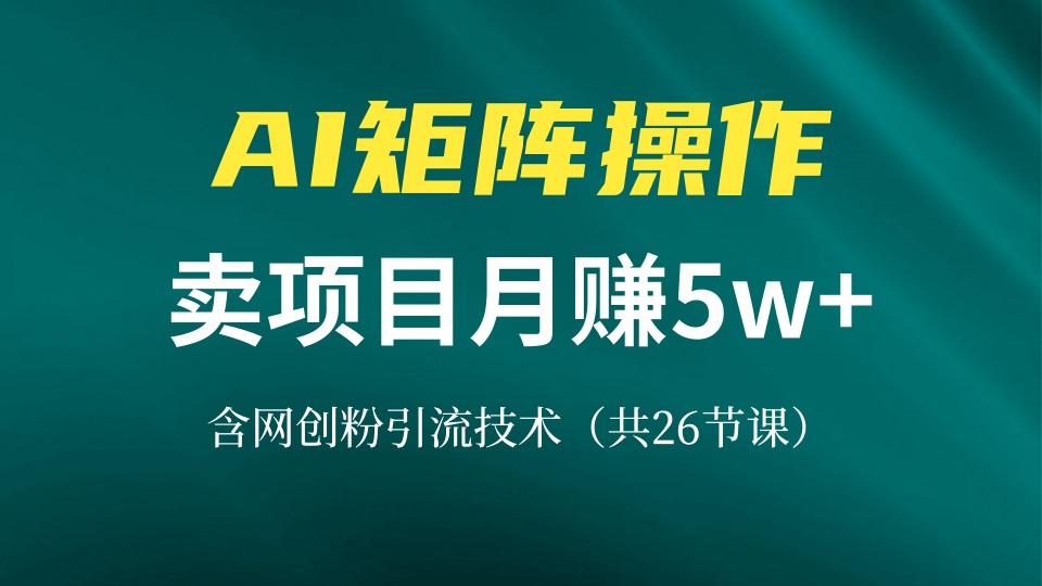 网创IP打造课，借助AI卖项目月赚5万+，含引流技术(共26节课-优优云网创