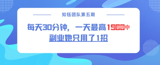 副业她只用了1招，每天30分钟，无脑二创，一天最高1.5k-优优云网创