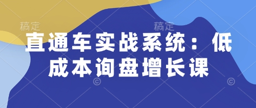 直通车实战系统：低成本询盘增长课，让个人通过技能实现升职加薪，让企业低成本获客，订单源源不断-优优云网创