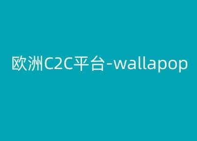 欧洲C2C平台-wallapop-kim跨境电商教程-优优云网创