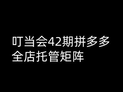 叮当会拼多多打爆班原创高阶技术第42期，拼多多全店托管矩阵-优优云网创