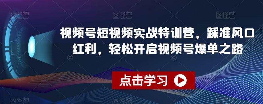 视频号短视频实战特训营，踩准风口红利，轻松开启视频号爆单之路-优优云网创