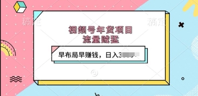 视频号年货项目，流量贼猛，早布局早挣钱，日入上k【揭秘】-优优云网创