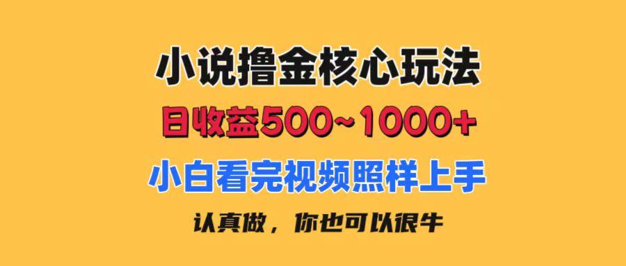 小说撸金核心玩法，日收益500-1000+，小白看完照样上手，0成本有手就行-优优云网创