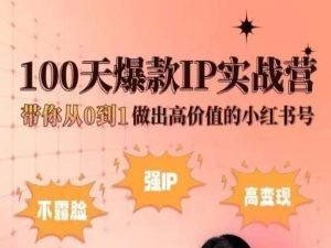 小红书100天爆款IP实战营，带你从0到1做出高价值的小红书号-优优云网创
