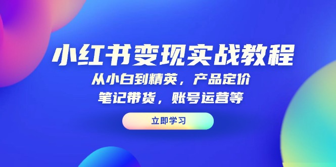 小红书变现实战教程：从小白到精英，产品定价，笔记带货，账号运营等-优优云网创