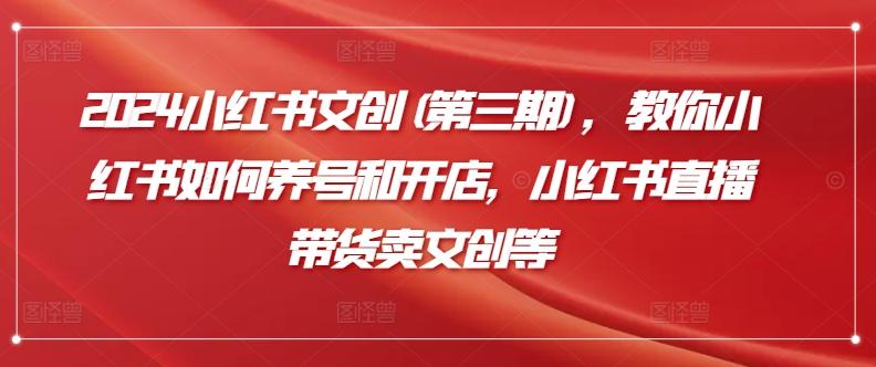 2024小红书文创(第三期)，教你小红书如何养号和开店，小红书直播带货卖文创等-优优云网创