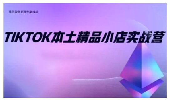TikTok本土精品小店出海实战营，从入门到高阶，不止0-1!-优优云网创