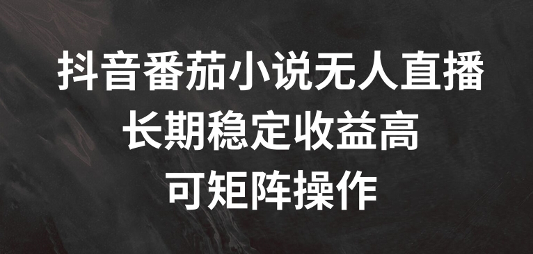抖音番茄小说无人直播，长期稳定收益高，可矩阵操作【揭秘】-优优云网创