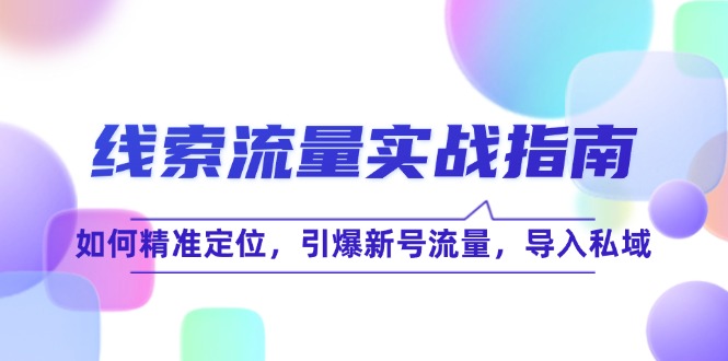 线 索 流 量-实战指南：如何精准定位，引爆新号流量，导入私域-优优云网创