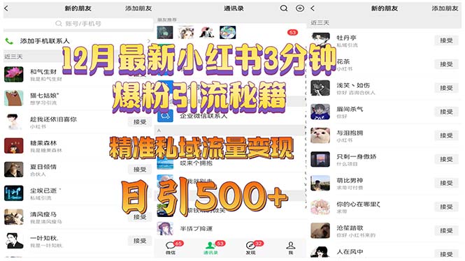 12月最新小红书3分钟爆粉引流秘籍 精准私域流量变现 日引500+-优优云网创