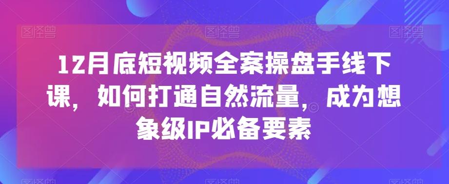 12月底短视频全案操盘手线下课，如何打通自然流量，成为想象级IP必备要素-优优云网创
