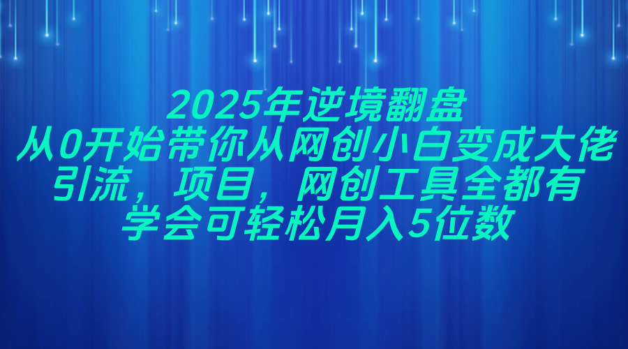 2025年逆境翻盘，从0开始带你从网创小白变成大佬，引流，项目，网创工…-优优云网创