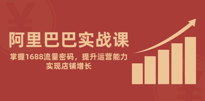 （14830期）阿里巴巴实战课：掌握1688流量密码，提升运营能力，实现店铺增长-优优云网创