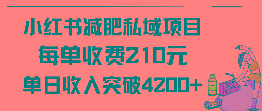 (9466期)小红书减肥私域项目每单收费210元单日成交20单，最高日入4200+-优优云网创