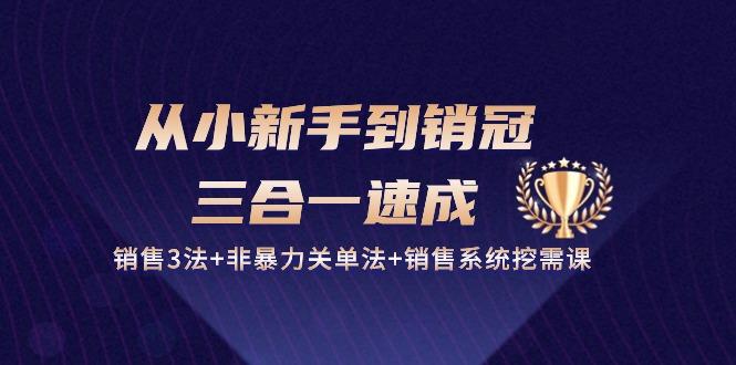 从小新手到销冠 三合一速成：销售3法+非暴力关单法+销售系统挖需课 (27节-优优云网创