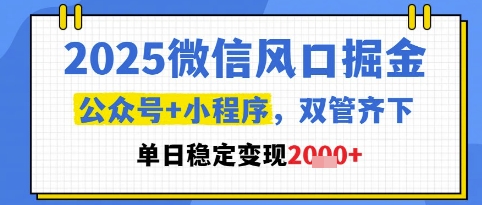 2025微信风口掘金，公众号+小程序双管齐下，单日稳定变现1k+【揭秘】-优优云网创
