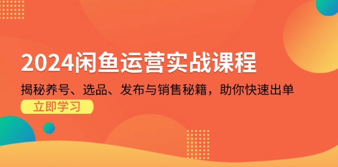 2024闲鱼运营实战课程：揭秘养号、选品、发布与销售秘籍，助你快速出单-优优云网创