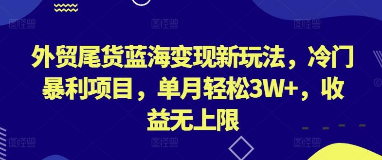 外贸尾货蓝海变现新玩法，冷门暴利项目，单月轻松3W+，收益无上限【揭秘】-优优云网创