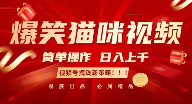 爆笑猫咪视频：简单操作，日入过K，视频号搞钱新策略【揭秘】-优优云网创