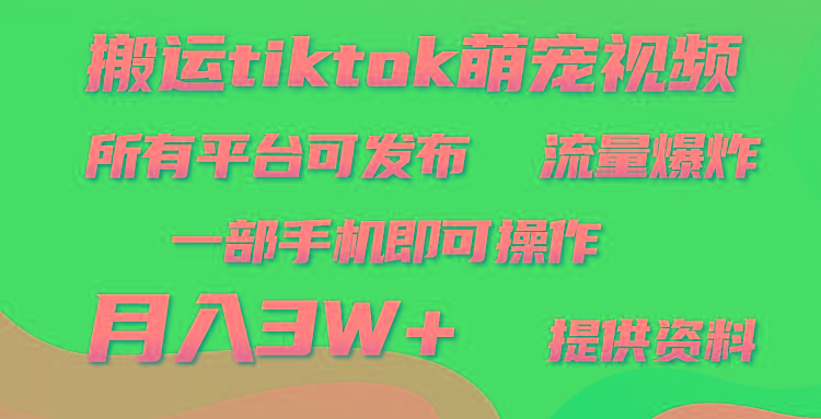(9618期)搬运Tiktok萌宠类视频，一部手机即可。所有短视频平台均可操作，月入3W+-优优云网创