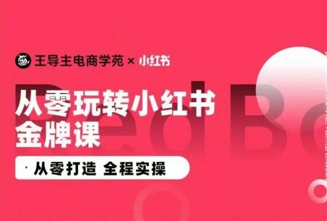 王导主·小红书电商运营实操课，​从零打造  全程实操-优优云网创