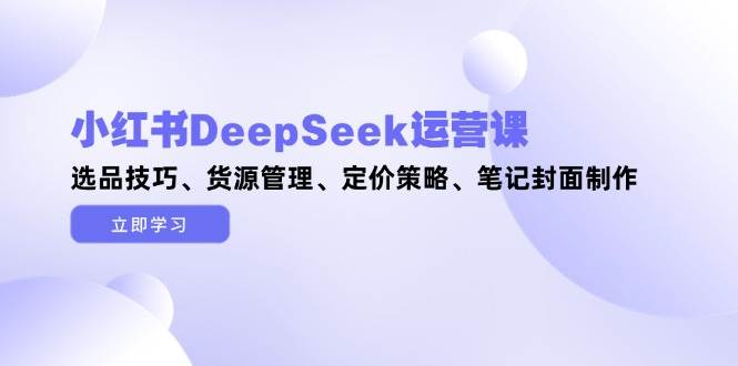 小红书DeepSeek运营课，选品技巧、货源管理、定价策略、笔记封面制作-优优云网创