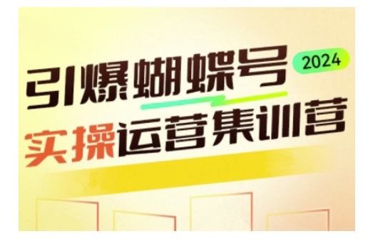 引爆蝴蝶号实操运营，助力你深度掌握蝴蝶号运营，实现高效实操，开启流量变现之路-优优云网创