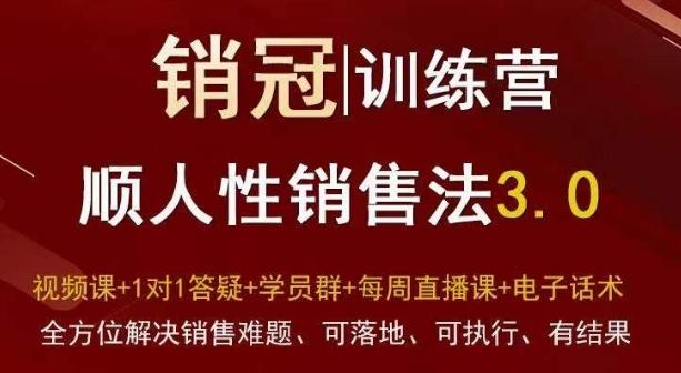 爆款！销冠训练营3.0之顺人性销售法，全方位解决销售难题、可落地、可执行、有结果-优优云网创