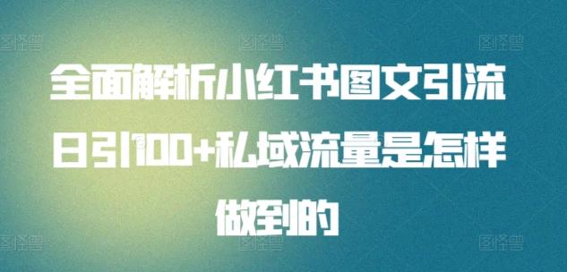 全面解析小红书图文引流日引100+私域流量是怎样做到的【揭秘】-优优云网创